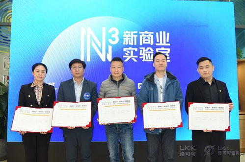 洛可可咨詢業務全新升級 信息技術咨詢服務邁向獨立運營新階段